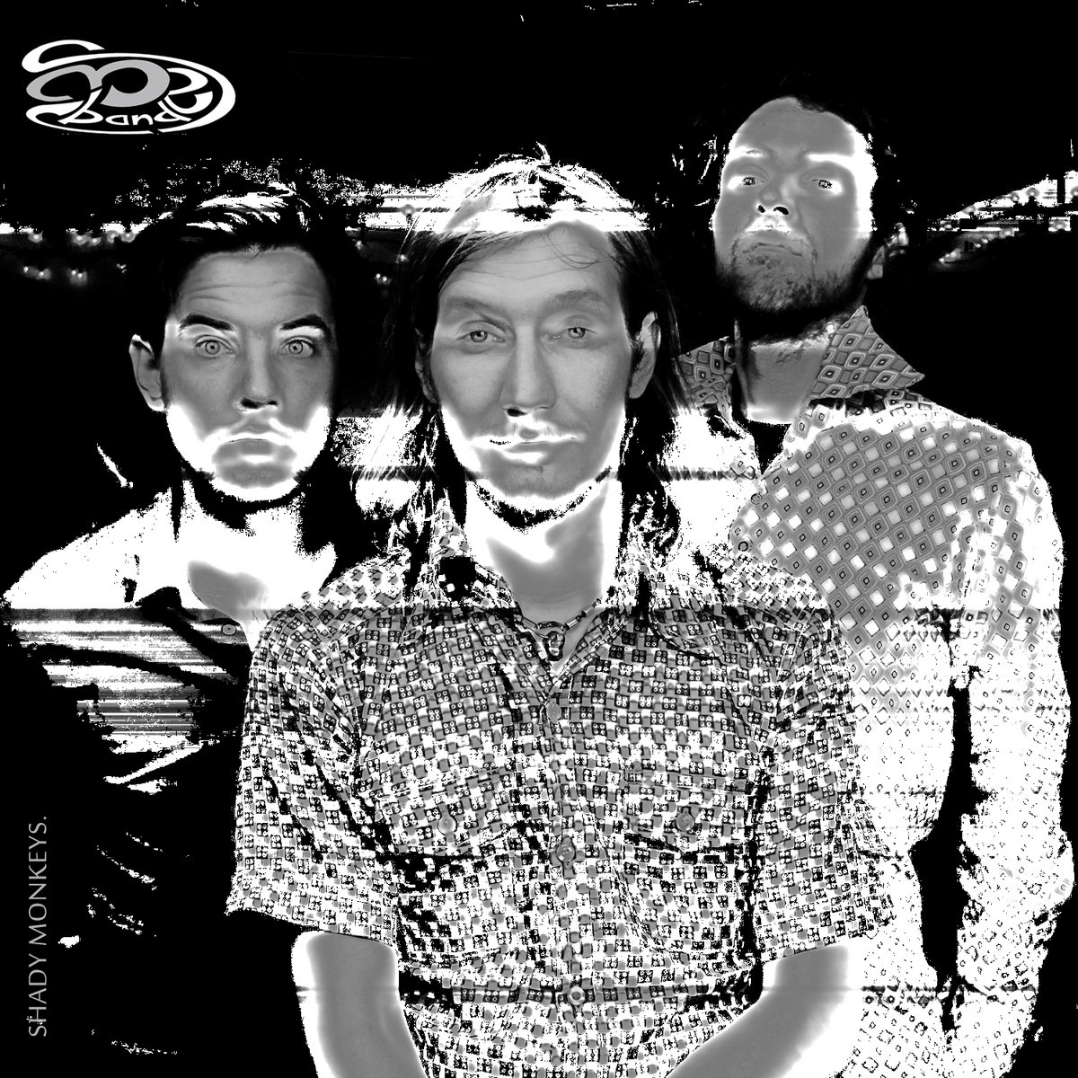 Shady Monkeys